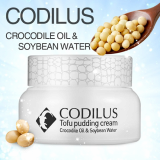 CODILUS topu pudding cream